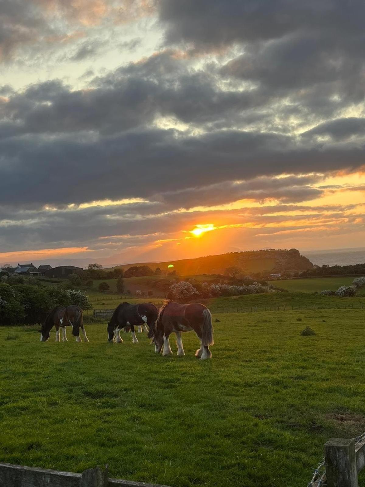 Holiday home Firth View 2 - Country Escape With Sea Views Of Arran!