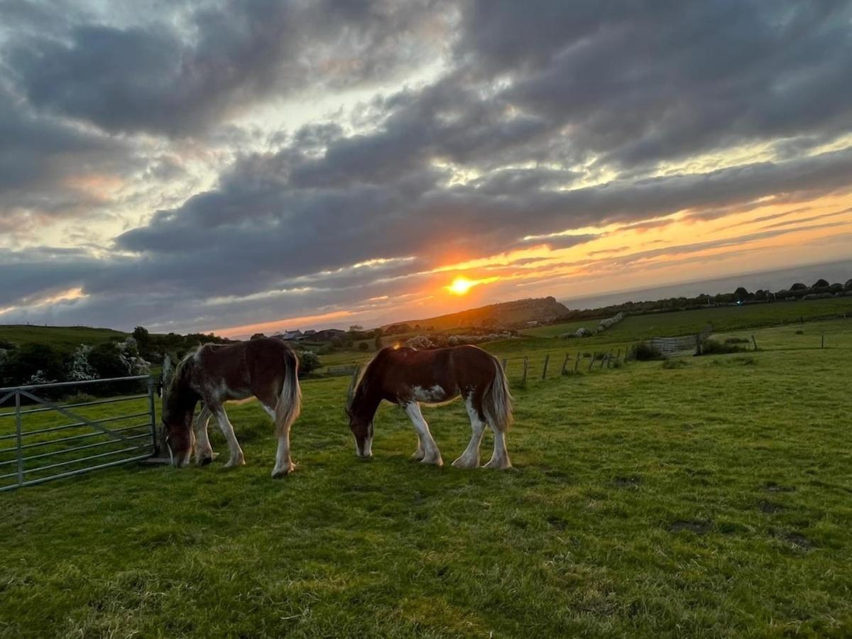 Holiday home Firth View 2 - Country Escape With Sea Views Of Arran!