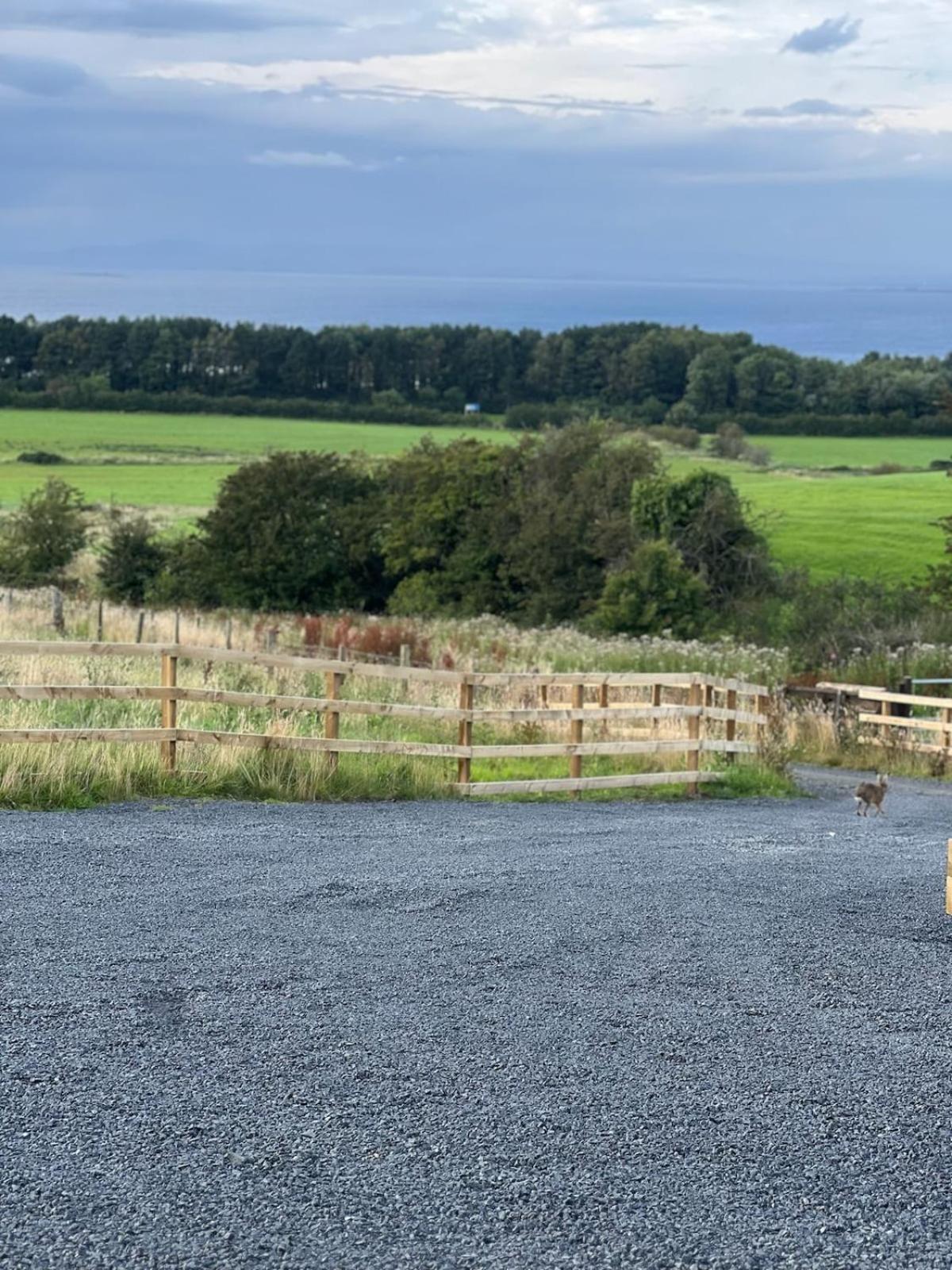 Firth View 2 - Country Escape With Sea Views Of Arran! Holiday home